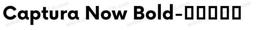 Captura Now Bold字体转换